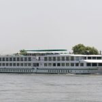 MS Vivaldi