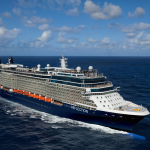 Celebrity Reflection